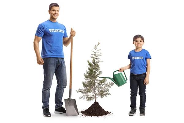 Why The Tree Guy Services LLC Is the First Choice for Reliable Tree Solutions