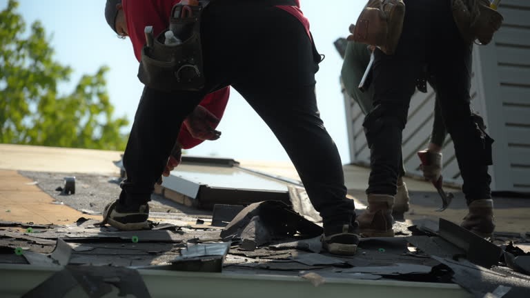 Premier Seattle Roofing Company for Modern Roofing Solutions