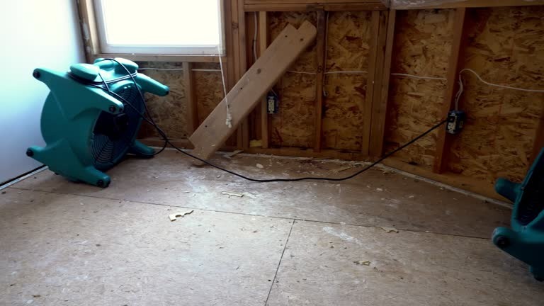 Crawlspace Cleanup Services Professional Solutions for a Cleaner, Healthier Home