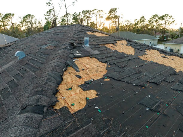 Expert Bronx Roofer Providing Roof Inspections and Leak Repairs